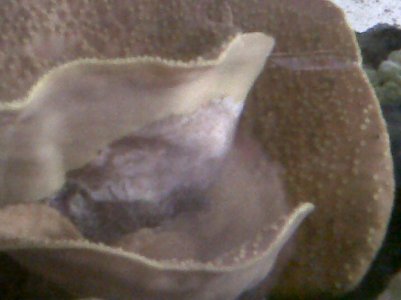 IMG00094-20110712-0636.jpg