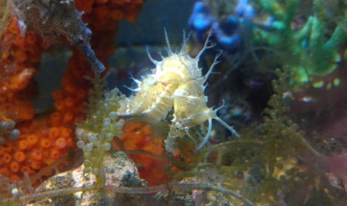 IMAG0102.jpg