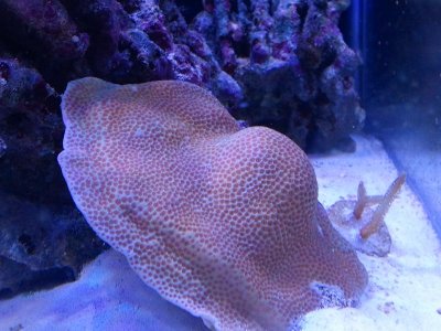 2011-07-13 17.38.10.jpg