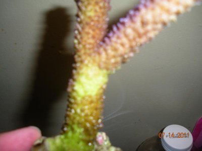 Picture 007.jpg
