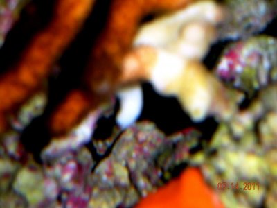 Picture 006.jpg