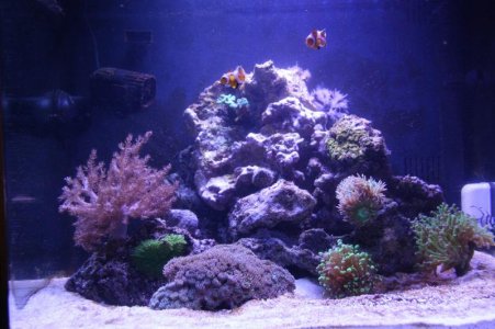 biocube.jpg