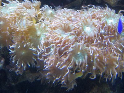Berlin 2011-05 031.jpg