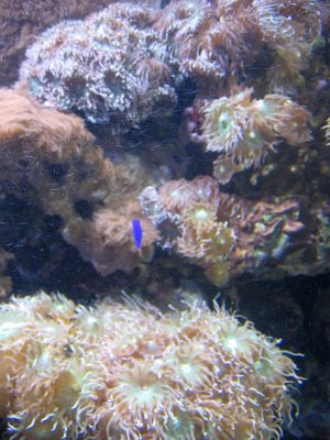 Berlin 2011-05 032.jpg