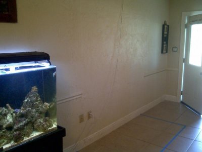new tank wall 1.jpg
