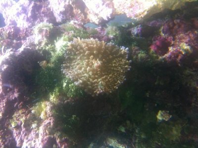 photo 1.jpg