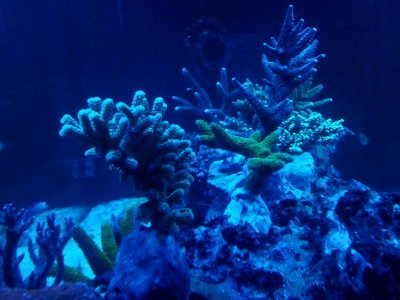 2011-07-29 21.35.11.jpg