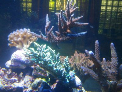 2011-08-10 11.40.11.jpg