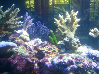 2011-08-10 11.40.28.jpg