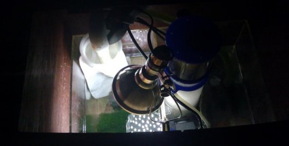 IMAG0194.jpg
