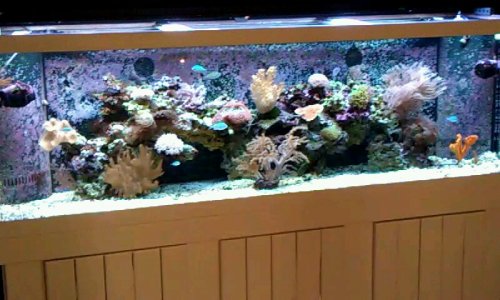 2011-06-12 2011-06-12 001 011.jpg