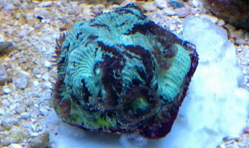 IMAG0270.jpg