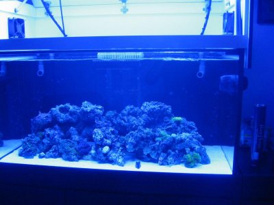 where to place mp40-1.jpg