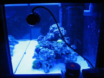 where to place mp40-2.jpg