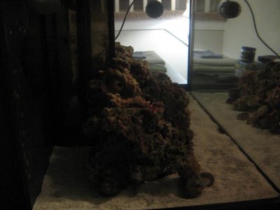 where to place mp40-3.jpg