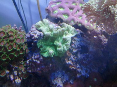 2011-08-15 12.31.28.jpg