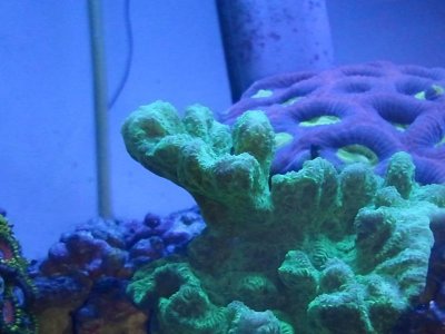 2011-08-15 15.37.01.jpg