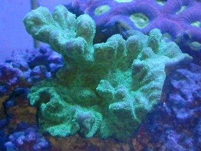 2011-08-15 15.39.19.jpg