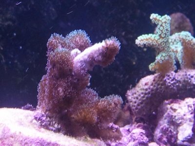 2011-07-20 16.48.44.jpg