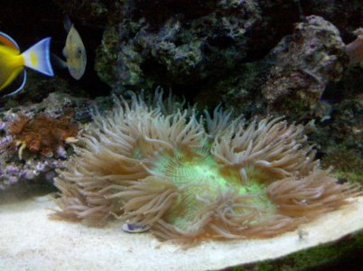 2011-08-16_14-34-39_376.jpg