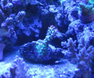 IMG_2798.jpg
