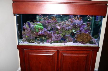 fulltank00271_JFR.jpg fulltank00271_JFR.jpg