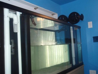 main tank...filling up.jpg