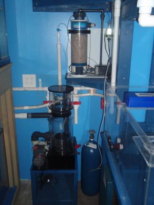 Orca protein skimmer & calc reactor.jpg