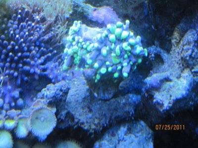 IMG_0528.jpg