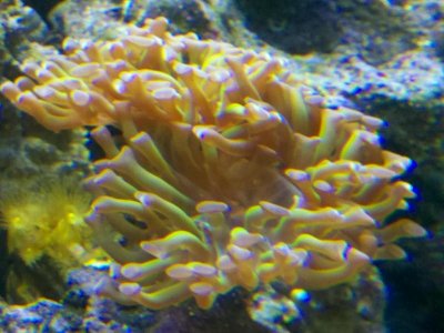2011-07-25_19-53-04_790.jpg