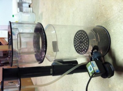 skimmer.jpg