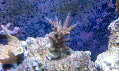 IMAG0444.jpg