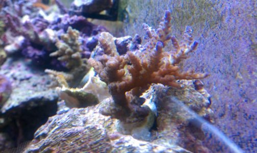 IMAG0445.jpg