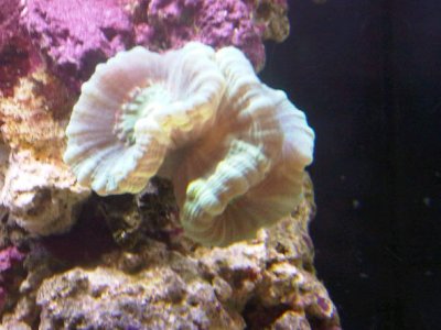 IMG-20110727-00172.jpg
