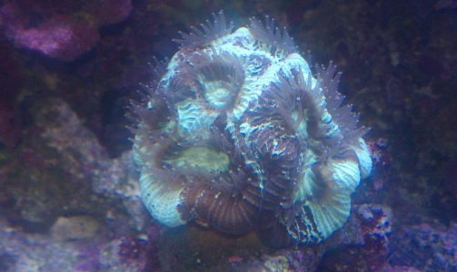 IMAG0399.jpg
