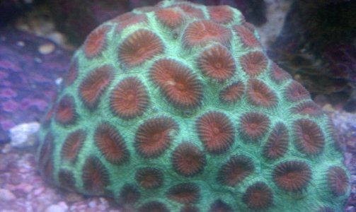 IMAG0401.jpg