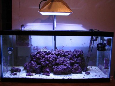 40B sps tank.jpg