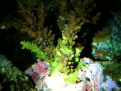 IMG_1004.jpg