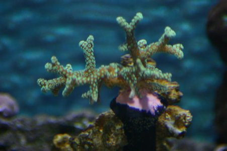 IMG_4788.jpg