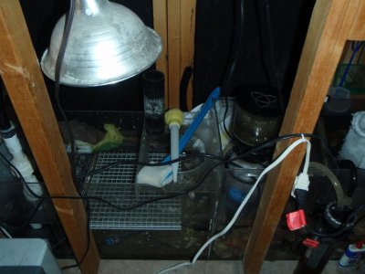 Sump.JPG