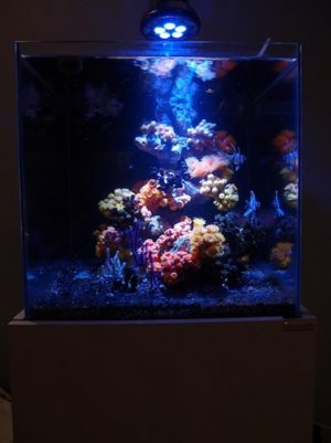 FTS.jpg
