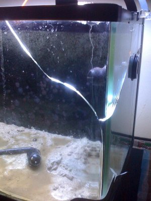 Broken Tank.jpg