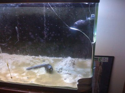 Broken Tank 2.jpg