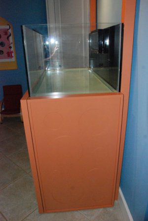 Rimless-3web.jpg