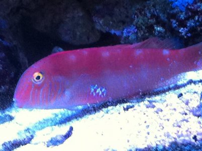 IMG_1576.jpg