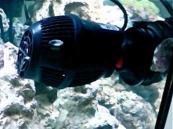 Photo on 2011-08-25 at 09.34.jpg