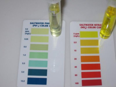 Test Kits 001.jpg