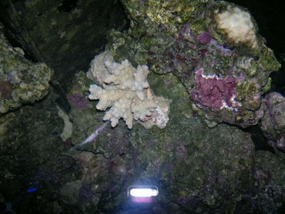 30082011348.jpg