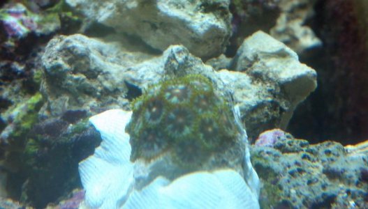 2011-08-23_11-48-17_123.jpg