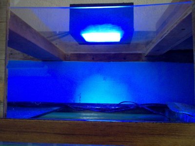 12 led light over outside tank 030511.jpg